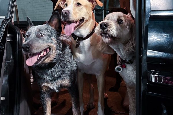 WhatsApp Image 2025-03-05 at 04.57.10